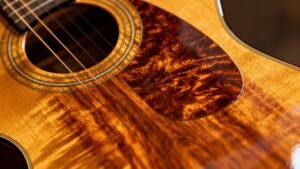 The complete guide to choosing and using a guitar dehumidifier