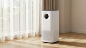 The definitive guide to choosing an air purifier and dehumidifier combo